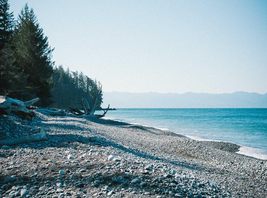 How to Download an App: A Step-by-Step Guide