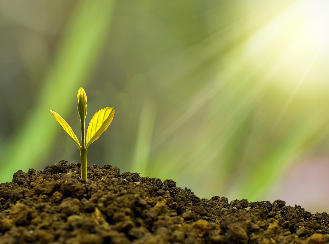 building wealth goals