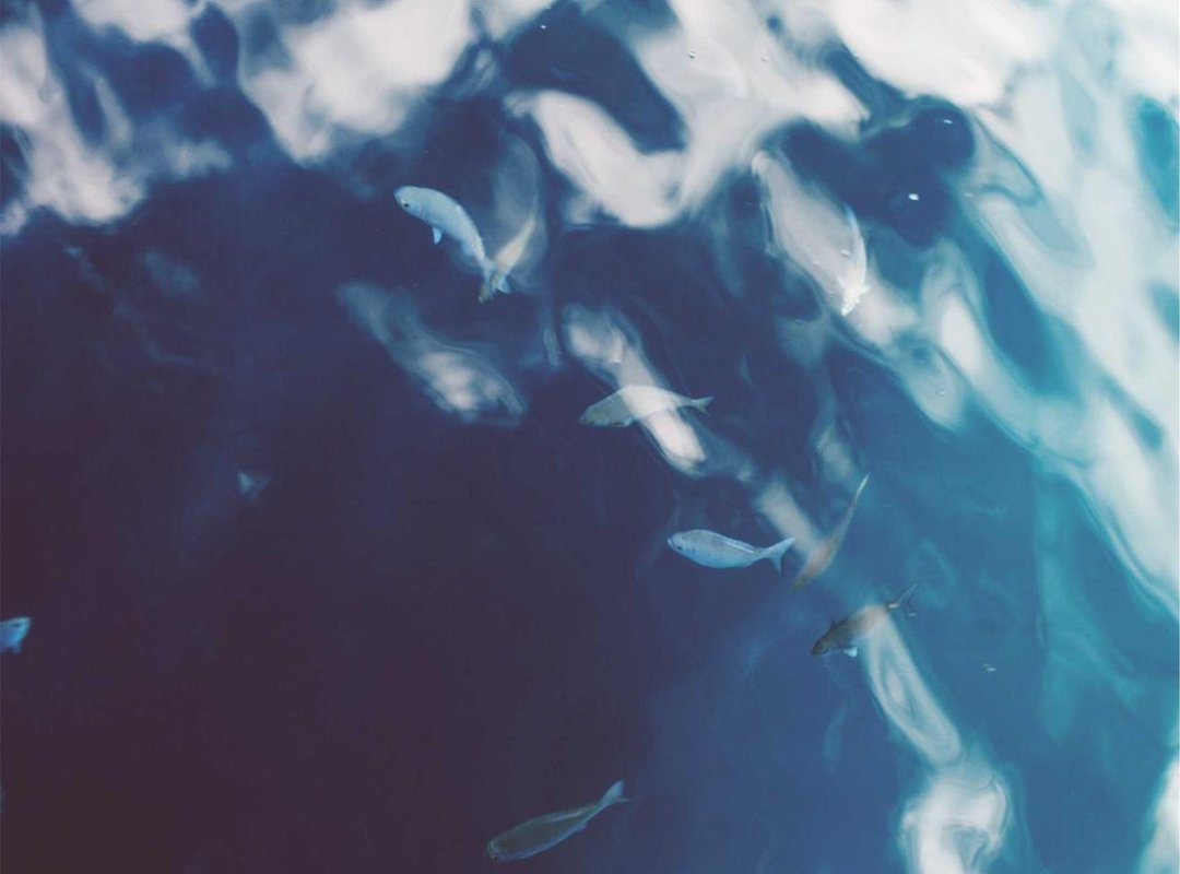 Common Pitfalls That Can Derail Your Progress (And How to Avoid Them)