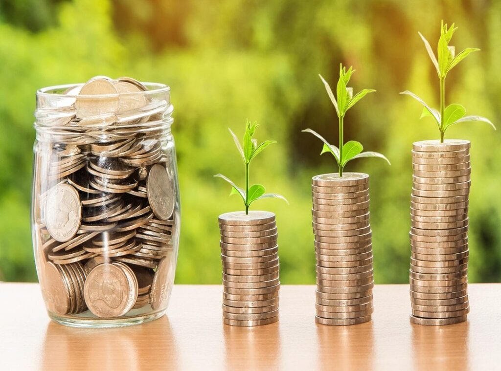 risk reward wealth